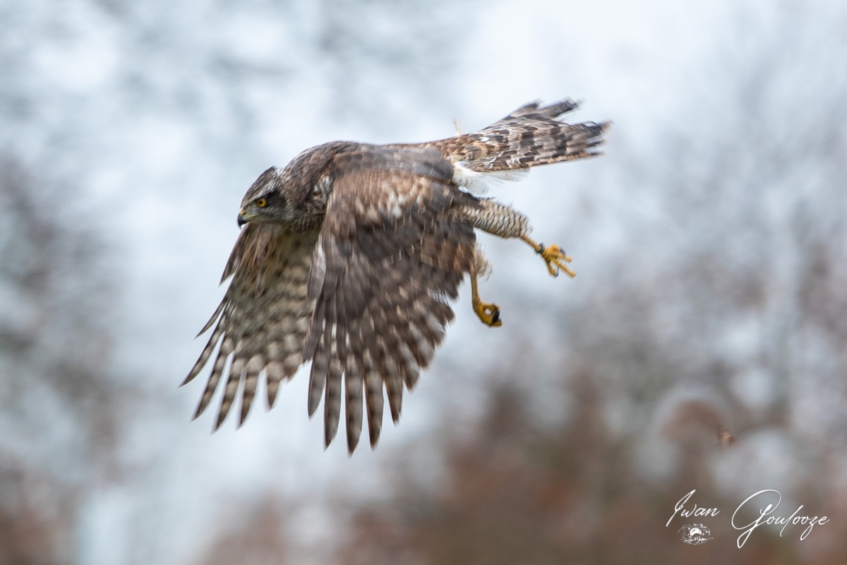 1DX44481 28 november 2021 1142 38